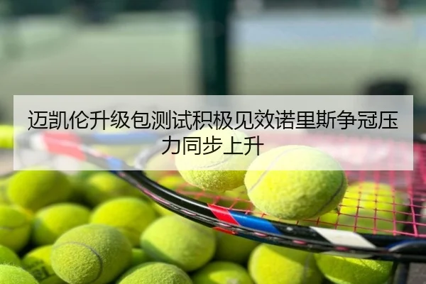 迈凯伦升级包测试积极见效诺里斯争冠压力同步上升